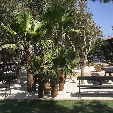 In Cyprus * Mazotósz